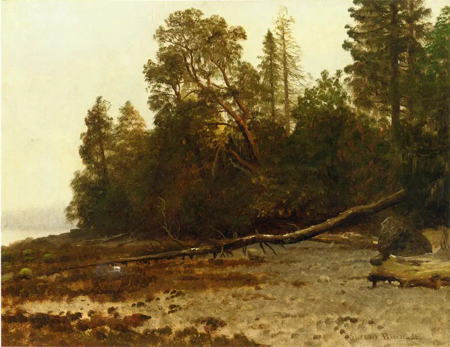 L'arbre tombé - Albert Bierstadt image 1 copie peinte à la main à l’huile