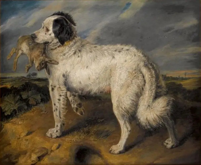 챔피언 : 비너스 - 에드윈 헨리 랜드시어

Source:
La Championne : Vénus - Edwin Henry Landseer