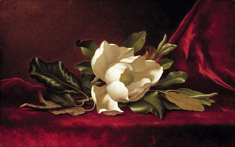 목련 꽃 - 마틴 존슨 헤이드

Source:
La fleur de magnolia - Martin Johnson Heade