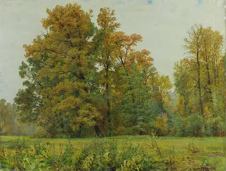 숲의 가장자리 - 이반 치치킨

Source:
La lisière de la forêt - Ivan Chichkine