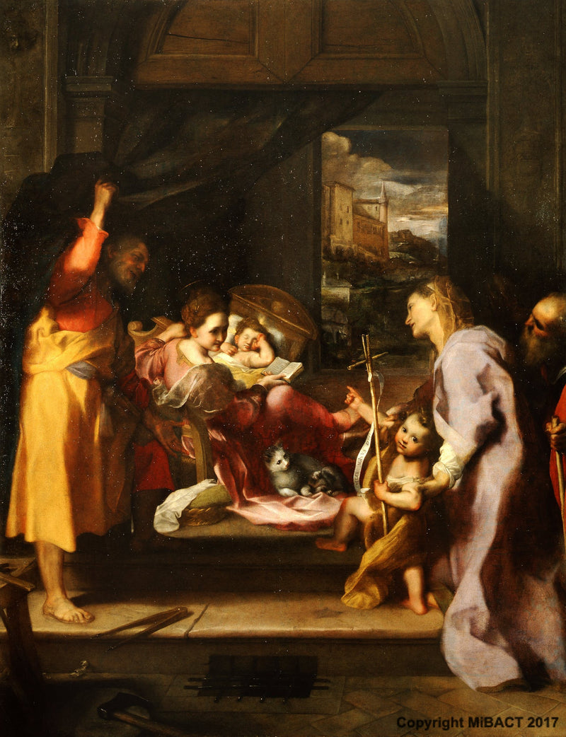 고양이의 마돈나 - 페데리코 바로치