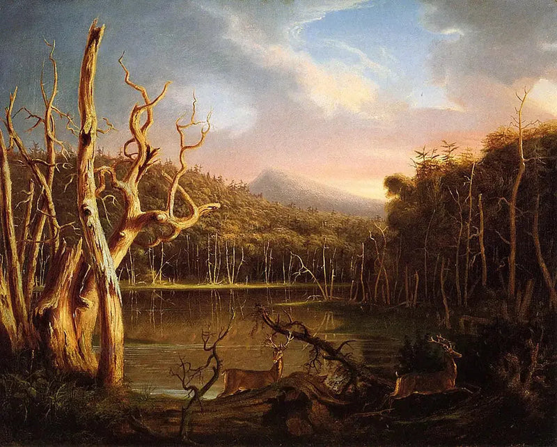 죽은 나무들의 호수 - 토마스 콜

Source:
Lac aux arbres morts - Thomas Cole