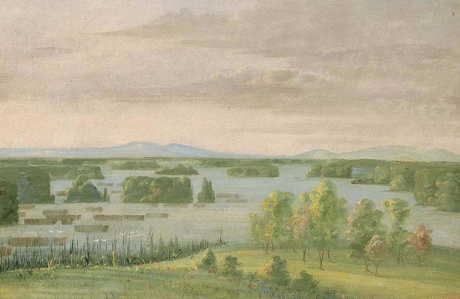 백조의 호수 (백조의 호수), 프레 데 쿠토 데 프레리 근처 - 조지 캐틀린

Source:
Lac du Cygne (Lac des Cygnes), Près du Coteau des Prairies - George Catlin