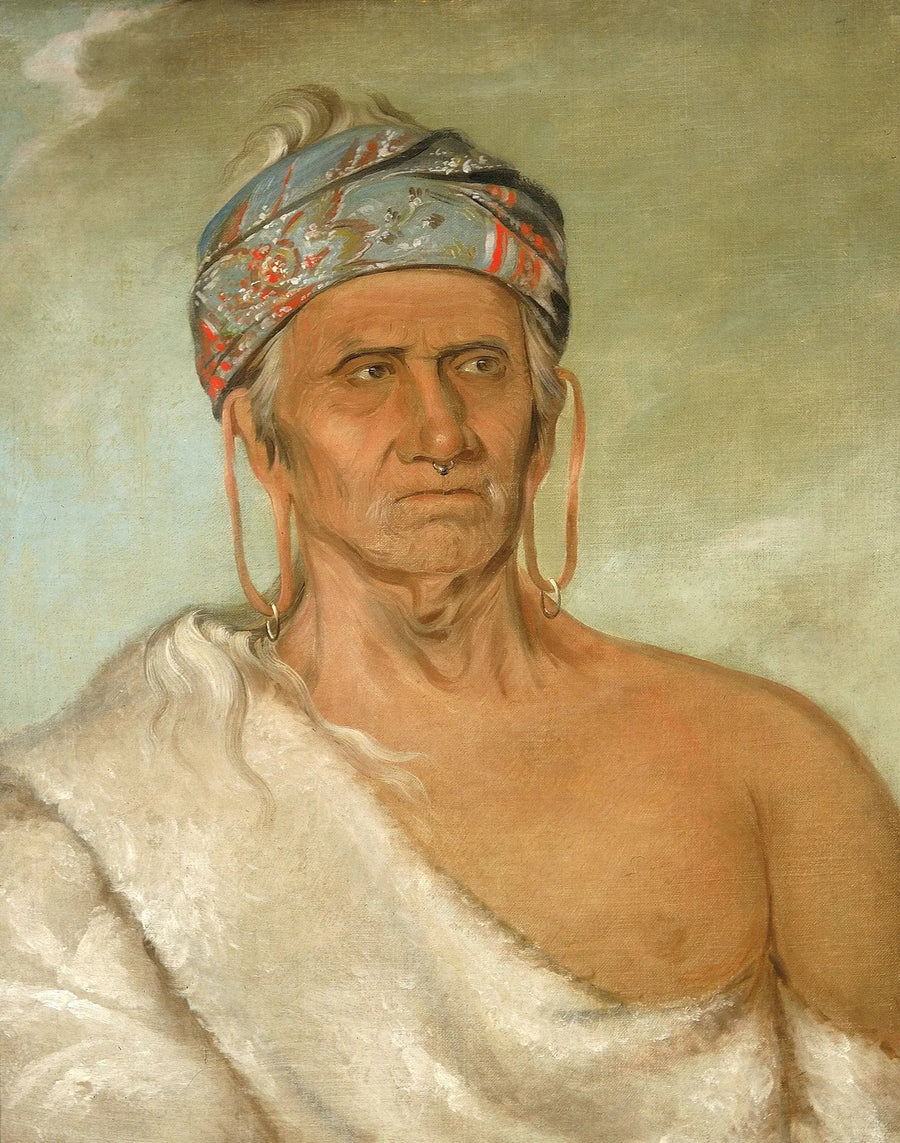 알파 재생산, 유화 그림 복제, 고전 명화 프린트, 인테리어 장식용 그림 액자, 고품질 아트 프린트

Source:
Lay-láw-she-kaw, remonte la rivière, un vieux chef - George Catlin
