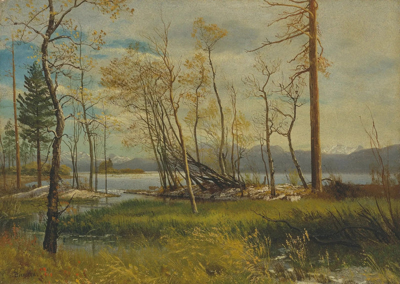 타호 호수 - 알버트 비어슈타트

Source:
Le lac Tahoe - Albert Bierstadt
