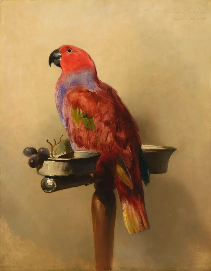 르로리 - 에드윈 헨리 랜드시어

Source:
Le Lori - Edwin Henry Landseer