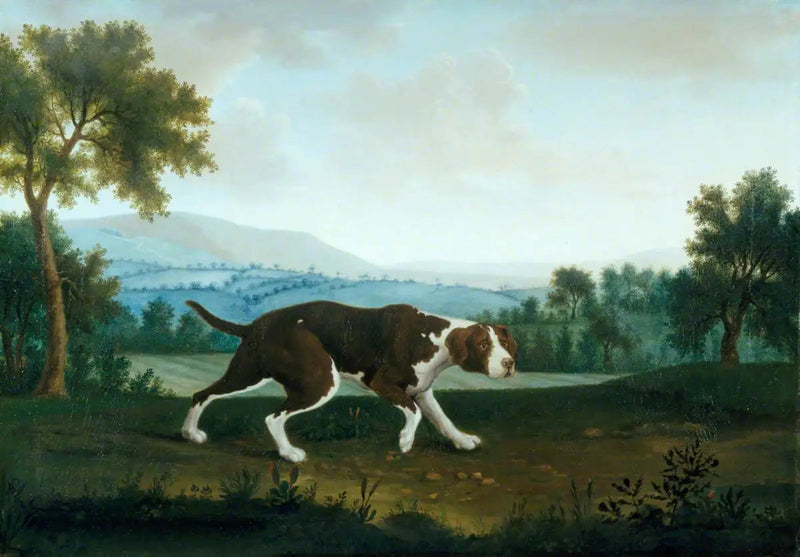 스페인 포인터 - 조지 스터브스

Source:
Le pointeur espagnol - George Stubbs
