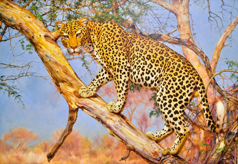 나무 위의 표범 | 150 x 100cm