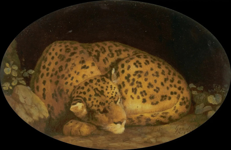 잠자는 표범 - 조지 스터브스

Source:
Léopard endormi - George Stubbs