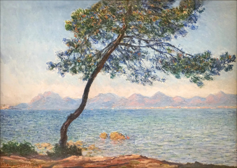 항균제 - Claude Monet