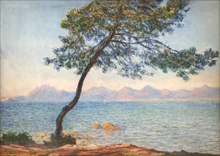 항균제 - Claude Monet