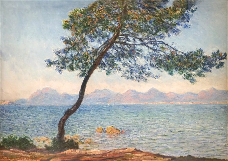 항균제 - Claude Monet