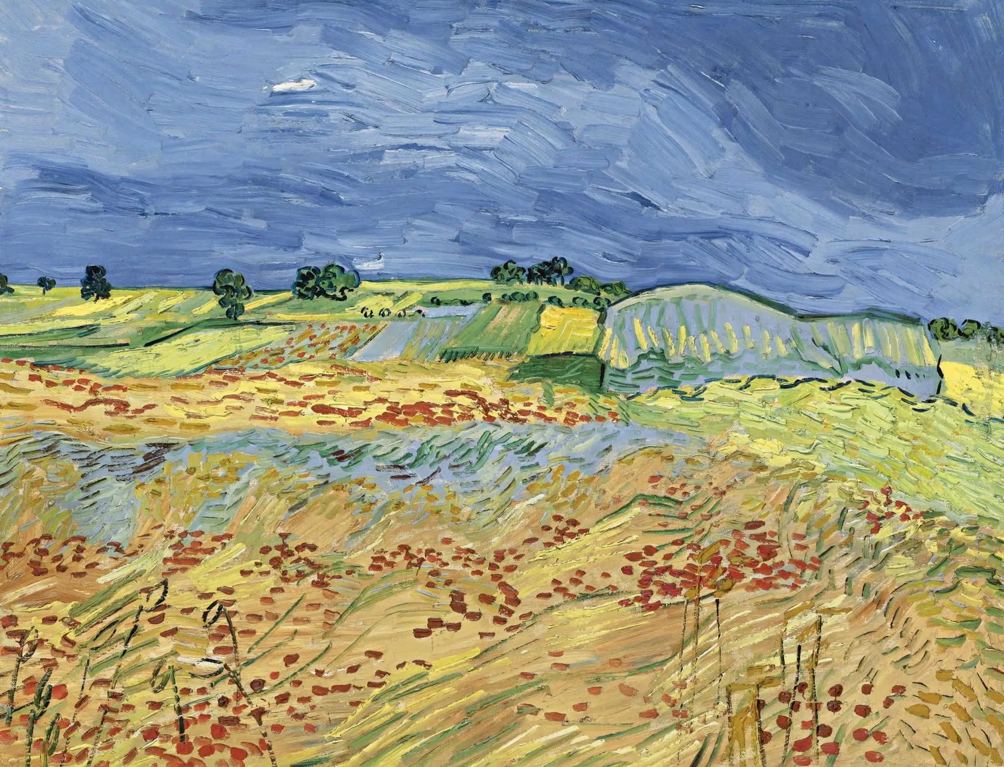 Les champs - Vincent van Gogh image 1 copie peinte à la main à l’huile