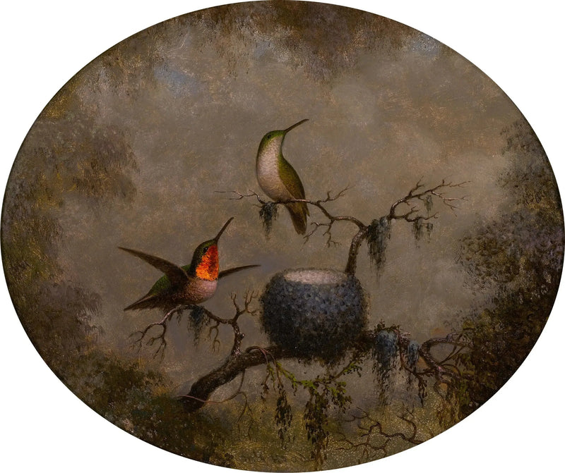 벌새와 그들의 둥지 - 마틴 존슨 히드

Source:
Les colibris et leur nid - Martin Johnson Heade