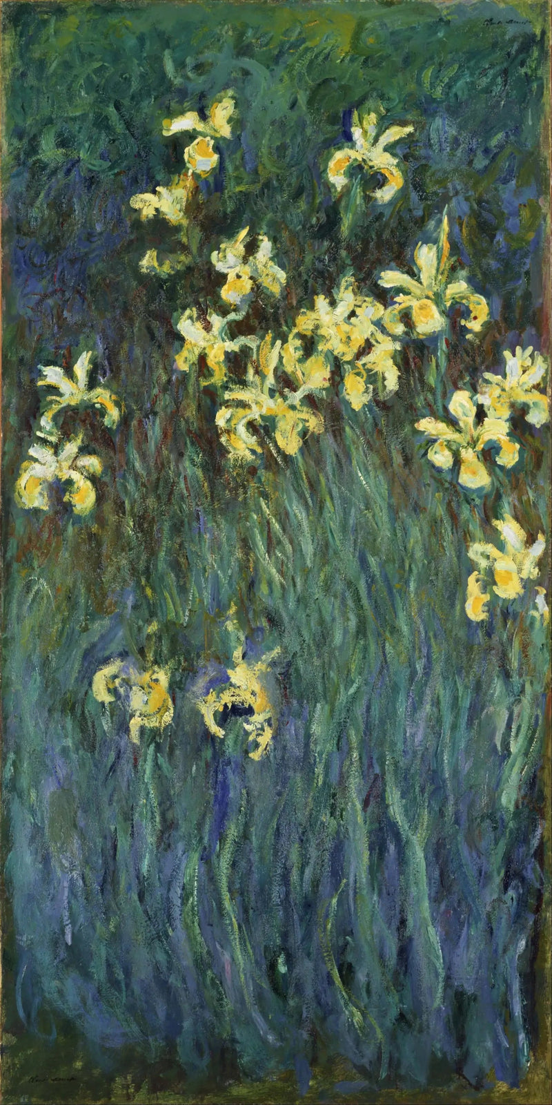 노란 아이리스 - Claude Monet