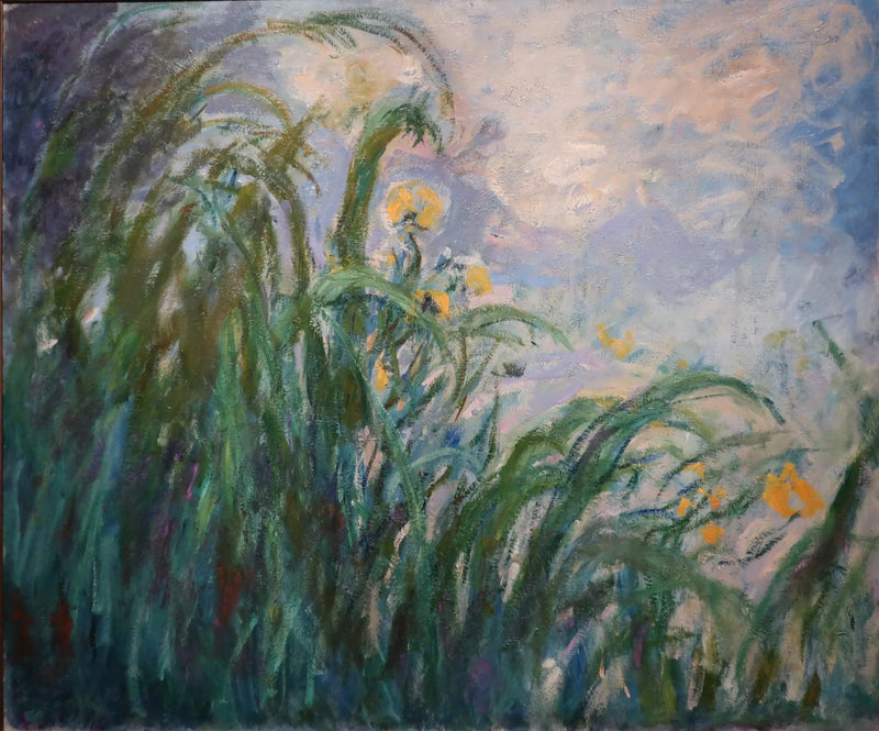 노란 아이리스 - Claude Monet
