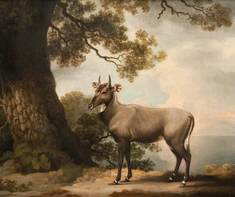 레 니갈 - 조지 스터브스

Source:
Les Nilgaïs - George Stubbs