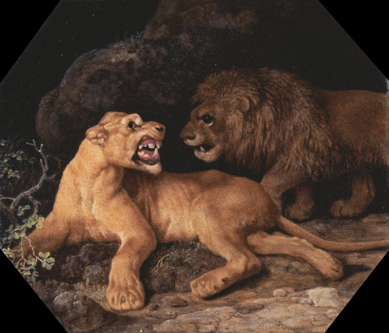 라이온 앳 리온 - 조지 스터브스

Source:
Lion et Lione - George Stubbs