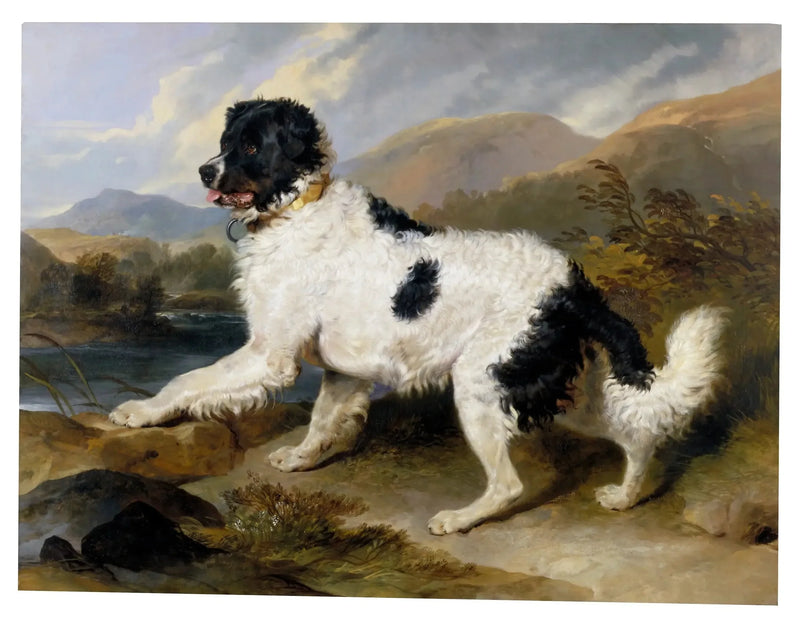 라이온, 노르웨이 개 - 에드윈 헨리 랜드시어

Source:
Lion', un chien de Terre-Neuve - Edwin Henry Landseer