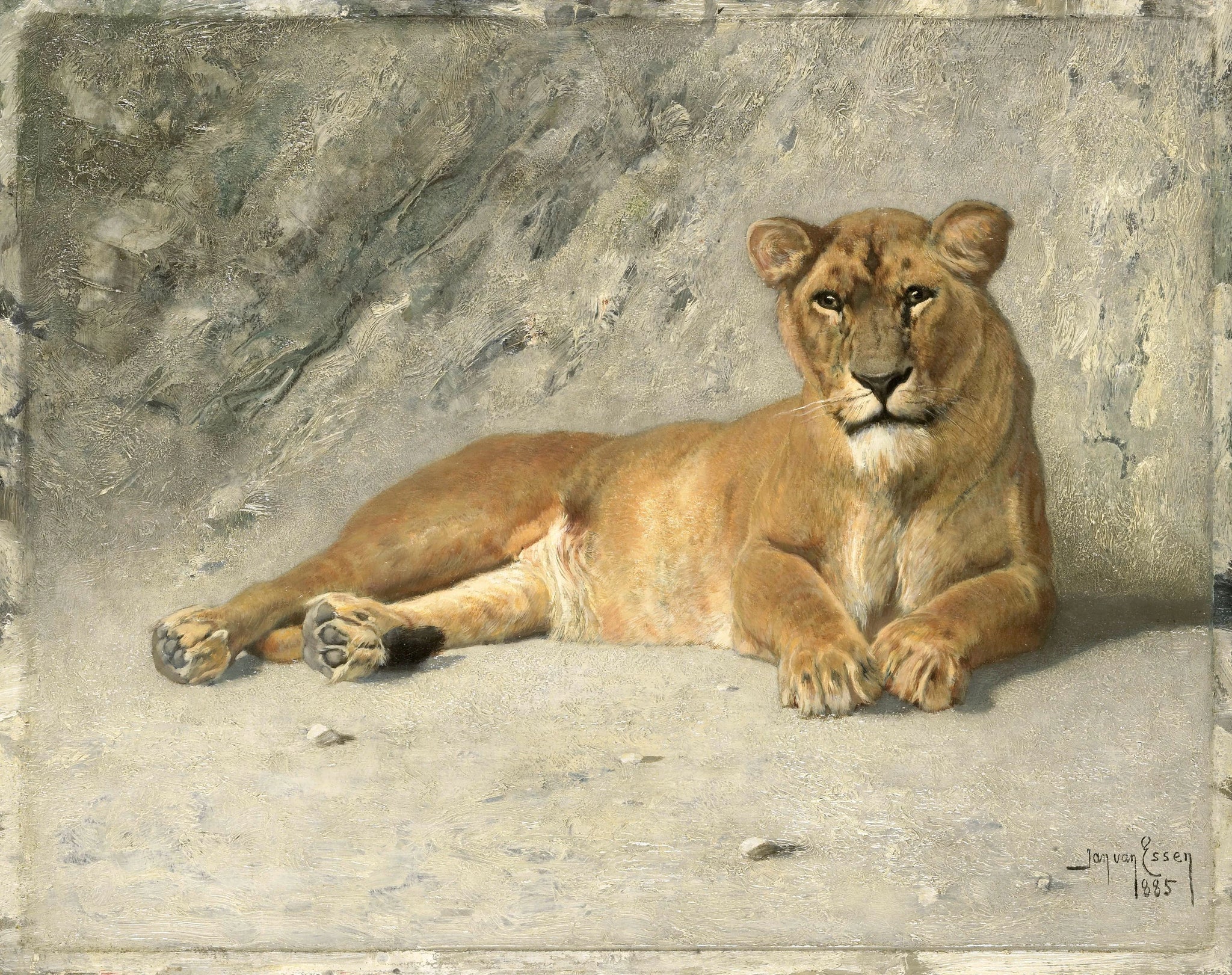 Lionne au repos - Johannes Cornelis van Essen