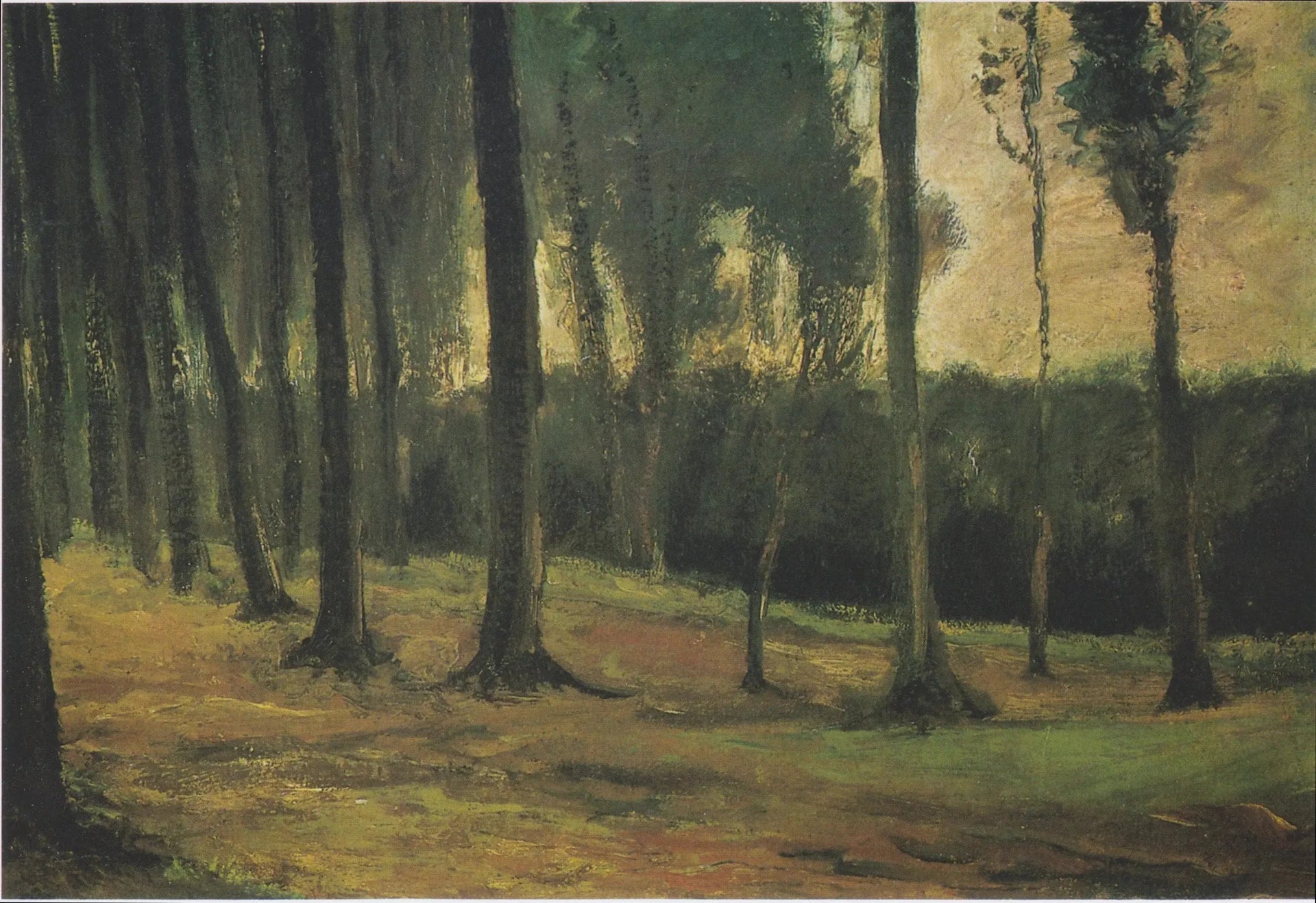 lisière d'un bois - Vincent van Gogh image 1 copie de tableau peinte à la main