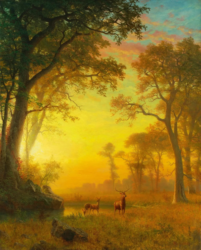 숲속의 빛 - 알버트 비어슈타트

Source:
Lumière dans la forêt - Albert Bierstadt