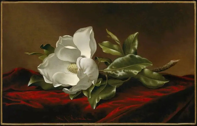 목련화 - 마틴 존슨 헤이드

Source:
Magnolia grandiflora - Martin Johnson Heade