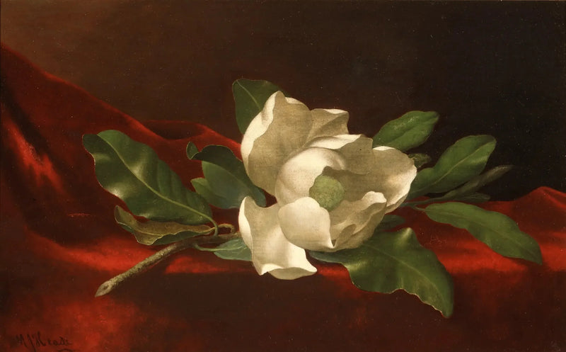 목련 - 마틴 존슨 헤이드

Source:
Magnolia - Martin Johnson Heade