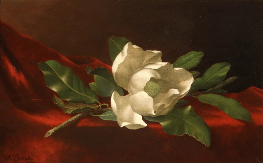 목련 - 마틴 존슨 헤이드

Source:
Magnolia - Martin Johnson Heade