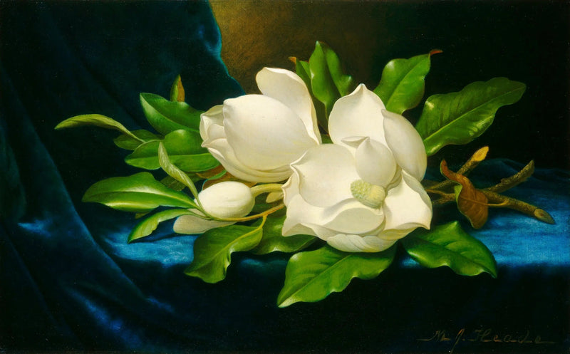 블루 벨벳 위의 거대한 목련꽃 - 마틴 존슨 헤이드

Source:
Magnolias géants sur velours bleu - Martin Johnson Heade