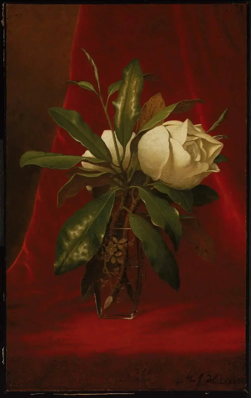 목련화 - 마틴 존슨 헤이드

Source:
Magnolias - Martin Johnson Heade