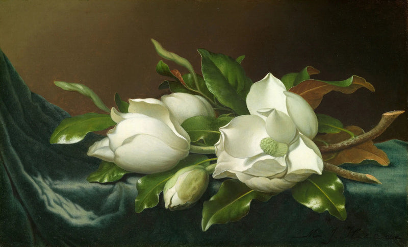 연한 파란색 벨벳 천 위의 목련 - 마틴 존슨 헤이드

Source:
Magnolias sur tissu de velours bleu clair - Martin Johnson Heade