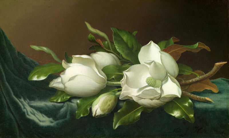연한 파란색 벨벳 천 위의 목련 - 마틴 존슨 헤이드

Source:
Magnolias sur tissu de velours bleu clair - Martin Johnson Heade