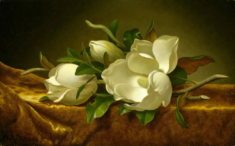 금빛 벨벳 천 위의 목련 - 마틴 존슨 헤이드

Source:
Magnolias sur tissu de velours doré - Martin Johnson Heade