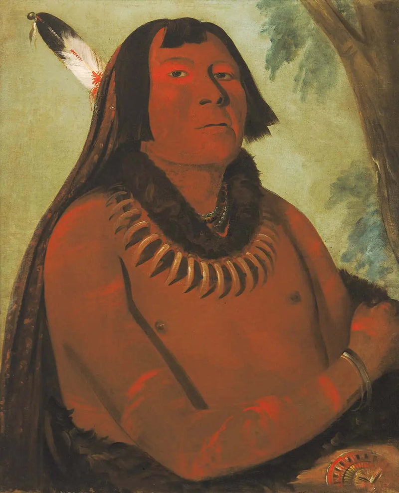 마타프타, 중앙으로 돌진하다, 용감한 사람 - 조지 캐틀린

Source:
Mah-táhp-ta-a, se précipite au milieu, un brave - George Catlin