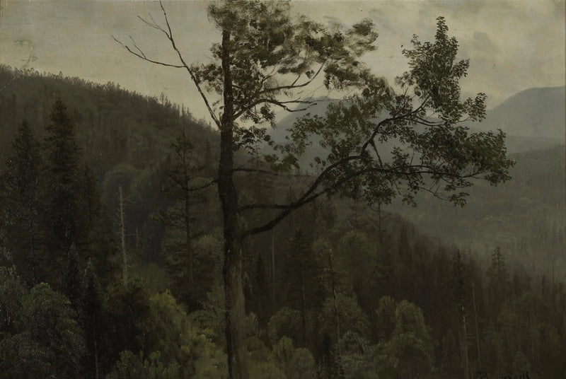 나무로 뒤덮인 산들 - 알버트 비어슈타트

Source:
Montagnes couvertes d'arbres - Albert Bierstadt