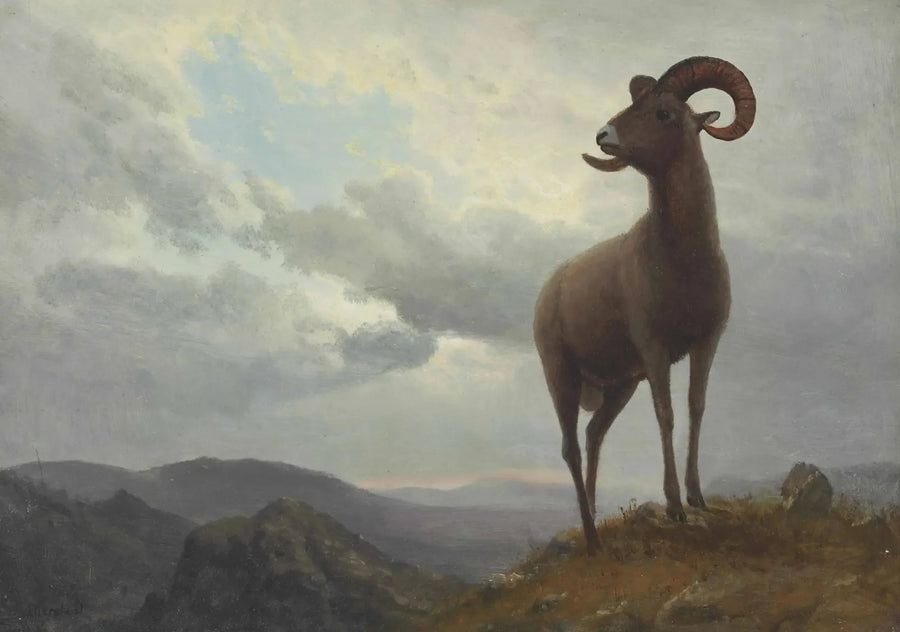 긴 뿔 양 - 알버트 비어슈타트

Source:
Mouton à longues cornes - Albert Bierstadt
