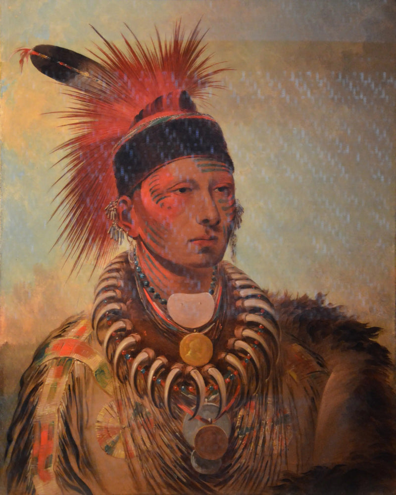 무후쉐카우 (흰 구름) - 조지 캐틀린

Source:
Mu-hu-she-kaw (Le nuage blanc) - George Catlin