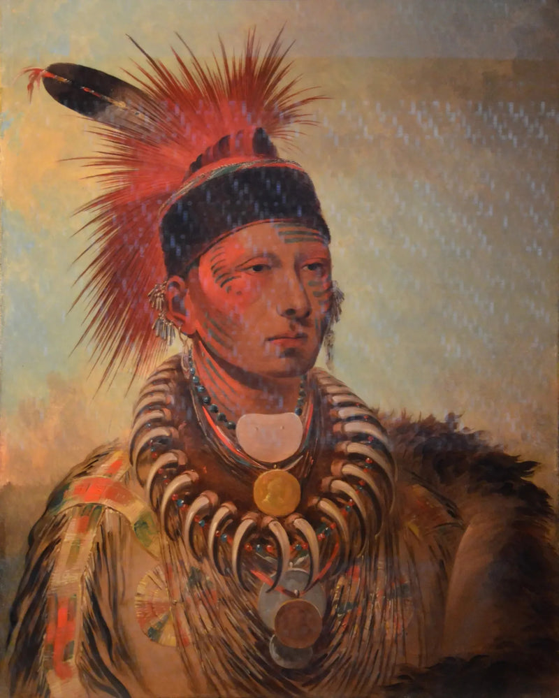 무후쉐카우 (흰 구름) - 조지 캐틀린

Source:
Mu-hu-she-kaw (Le nuage blanc) - George Catlin