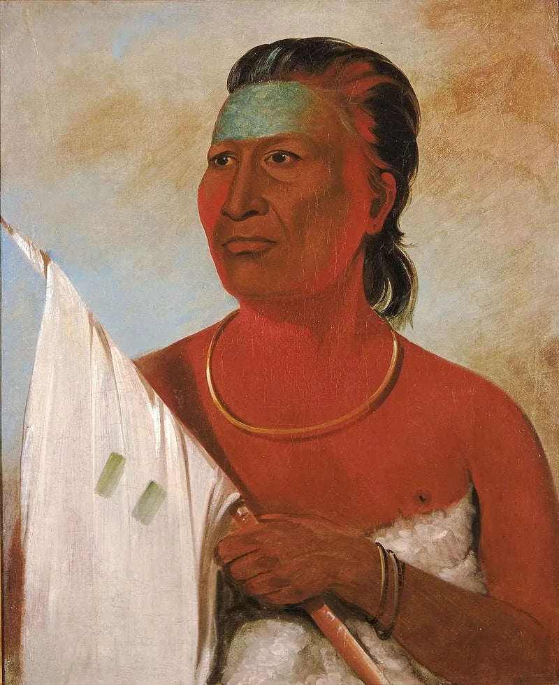 나포프, 수프, 블랙 호크의 조언자 - 조지 캐틀린

Source:
Náh-pope, Soup, conseiller de Black Hawk - George Catlin