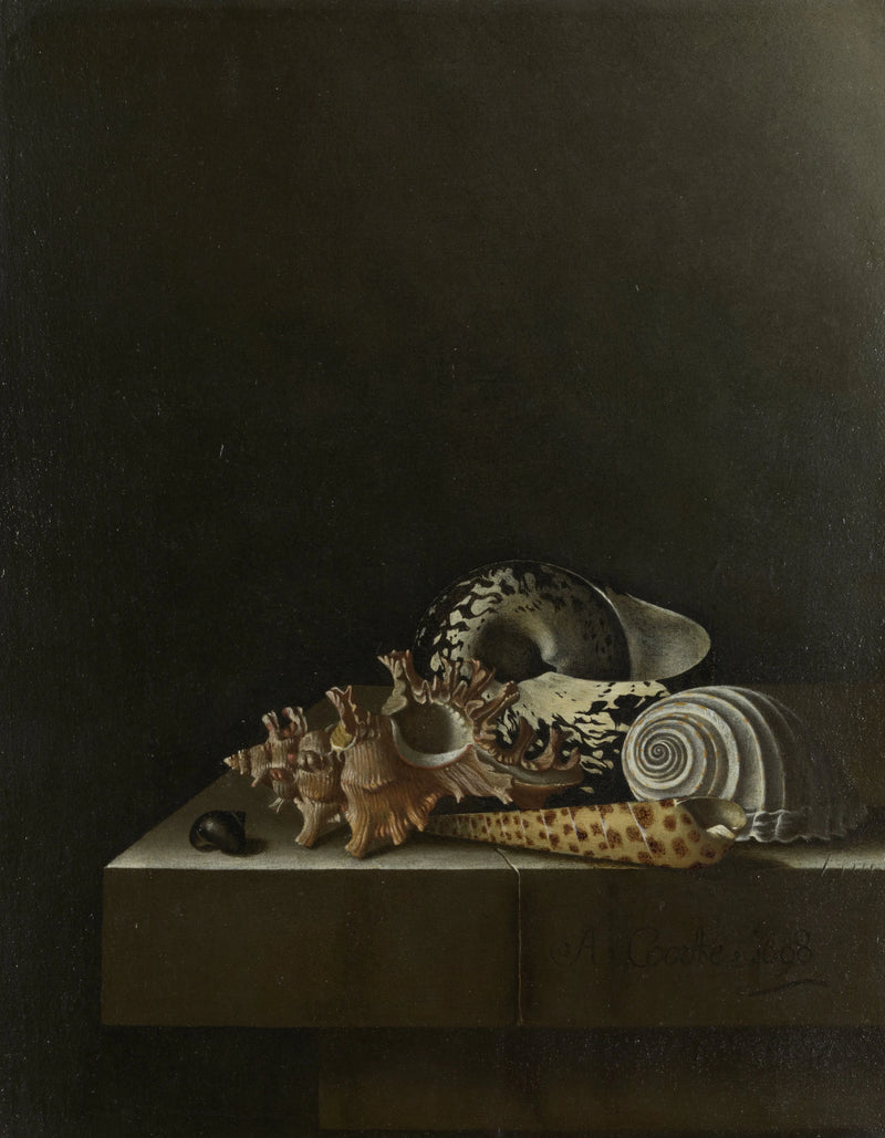 Nature morte aux coquillages sur un socle en pierre - Adriaen Coorte