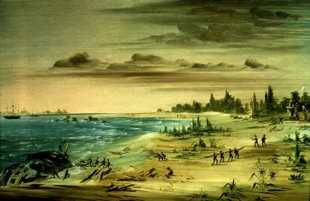 텍사스 해안에서의 친절한 난파, 1685년 - 조지 캐틀린

Source:
Naufrage de l'Aimable, sur la côte du Texas. 1685 - George Catlin