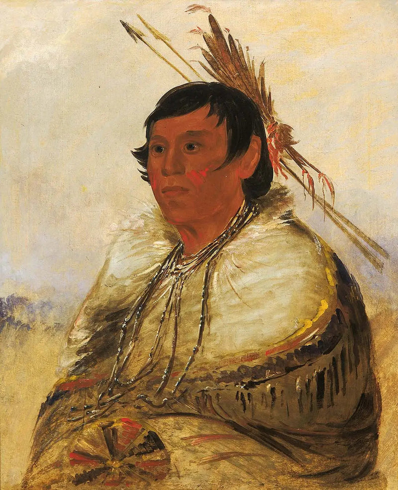니아코모, 발로 고정, 용감한 사람 - 조지 캐틀린

Source:
Ni-a-có-mo, Fix With the Foot, un Brave - George Catlin