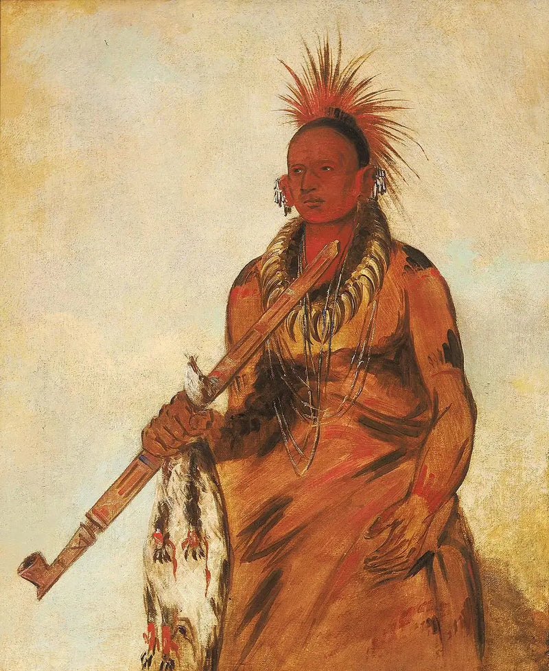 노-오-문-니, 비 속에서 걷는 사람, 전사 - 조지 캐틀린

Source:
No-o-mún-nee, Marche sous la pluie, un guerrier - George Catlin
