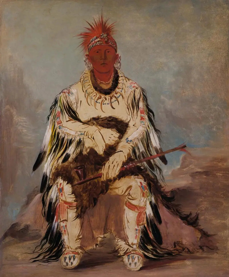 두 번 치는 사람, 용감한 사람 - 조지 캐틀린

Source:
No-wáy-ke-súg-gah, Celui qui frappe deux à la fois, un brave - George Catlin