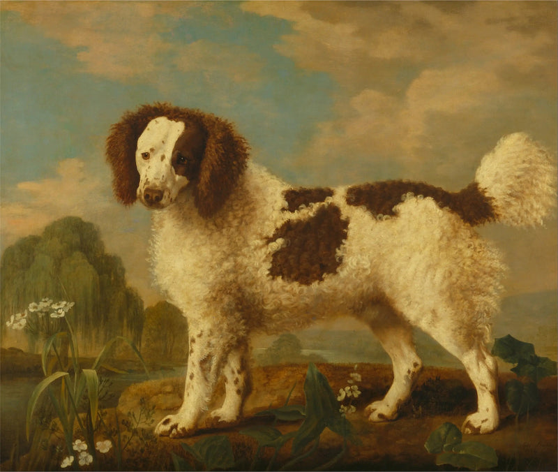 노퍽 또는 워터 스패니얼 브라운과 화이트 - 조지 스터브스

Source:
Norfolk ou Water Spaniel brun et blanc - George Stubbs