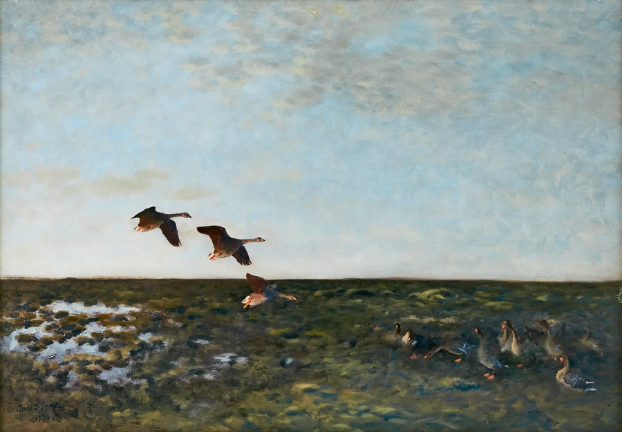Oies des haricots - Bruno Liljefors