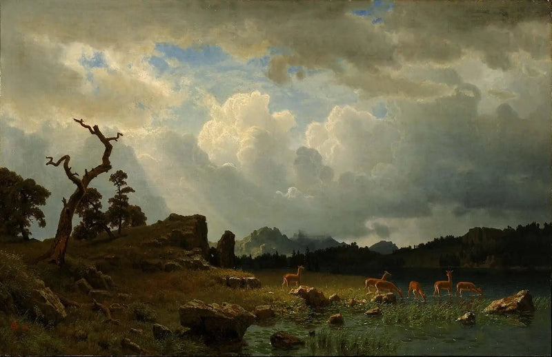 로키 산맥의 폭풍우 - 알버트 비어슈타트

Source:
Orage dans les montagnes Rocheuses - Albert Bierstadt