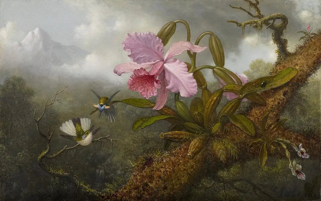 Orchidée Cattleya, deux colibris et un scarabée - Martin Johnson Heade image 1 reproduction artisanale de tableau