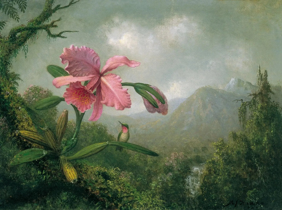 산 근처 폭포가 있는 난초와 벌새 - 마틴 존슨 헤이드

Source:
Orchidée et colibri près d'une cascade de montagne - Martin Johnson Heade